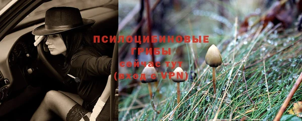 винт Наволоки