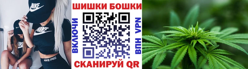 Конопля сатива  Калининск 